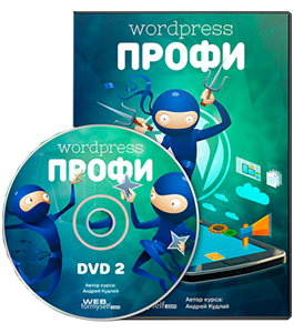 Видеокурс WordPress - Профессионал (Андрей Кудлай, WebForMySelf)