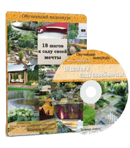 Видеокурс 18 шагов к саду своей мечты (Алина Рабушко)