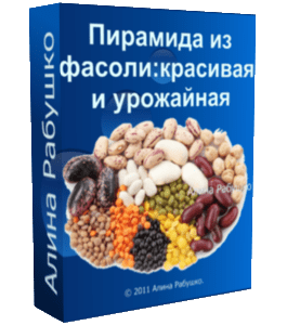 Бесплатный видеокурс Пирамида из фасоли: красивая и урожайная (Алина Рабушко)