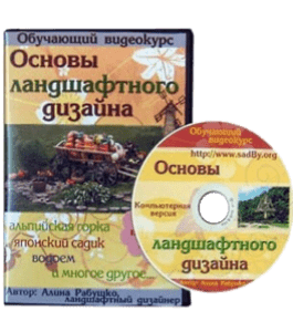 Видеокурс Основы ланшдафтного дизайна (Алина Рабушко)
