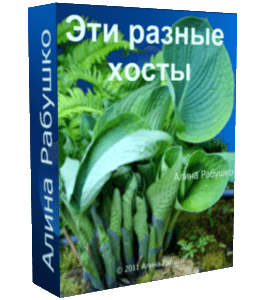Бесплатный видеоурок Эти разные хосты (Алина Рабушко)