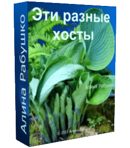 Бесплатный видеоурок Эти разные хосты (Алина Рабушко)