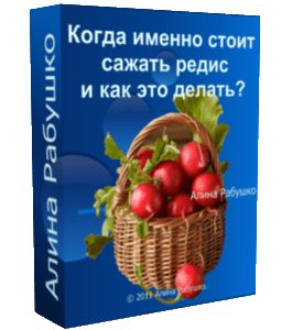 Бесплатный видеоурок Когда именно стоит сажать редис и как это делать (Алина Рабушко)
