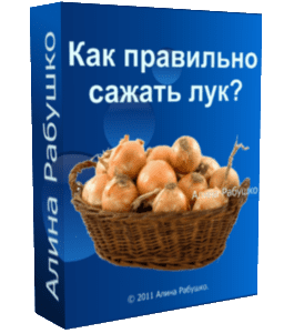 Бесплатный видеоурок Как правильно сажать лук (Алина Рабушко)