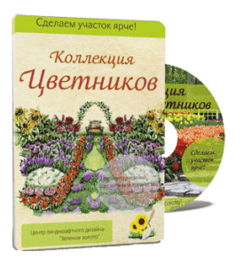 Видеокурс Коллекция цветников (Алина Рабушко)