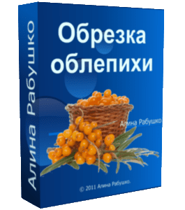 Бесплатный видеоурок Обрезка облепихи (Николай Рабушко)