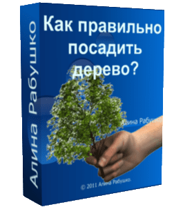 Бесплатный видеоурок Как правильно посадить дерево (Николай Рабушко)