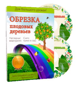 Видеокурс Обрезка плодовых деревьев - 2012 (Николай Рабушко)