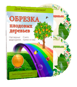 Видеокурс Обрезка плодовых деревьев - 2012 (Николай Рабушко)