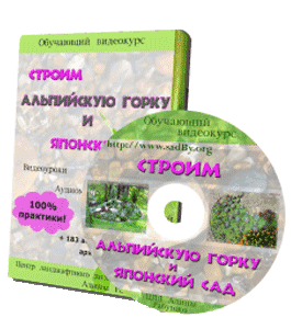 Видеокурс Строим альпийскую горку и японский сад (Алина Рабушко)
