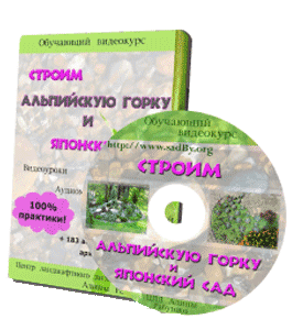 Видеокурс Строим альпийскую горку и японский сад (Алина Рабушко)