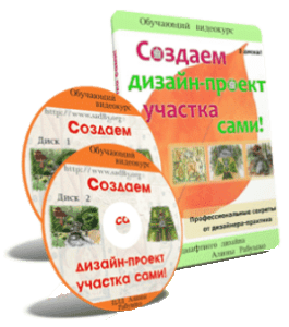 Видеокурс Создаем дизайн-проект участка сами (Алина Рабушко)