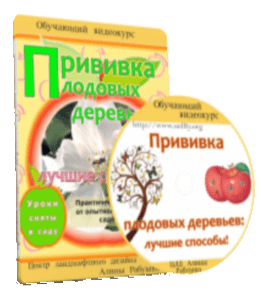 Видеокурс Прививка плодовых деревьев (Николай Рабушко)