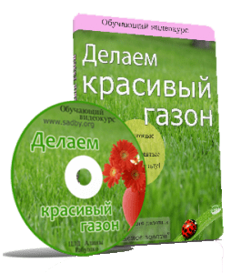 Видеокурс Делаем красивый газон (Алина Рабушко, Николай Рабушко)