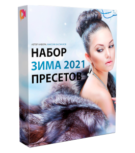 Видеокурс Набор зимние пресеты (Максим Басманов)
