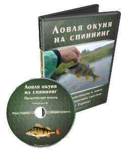 Аудиокурс Ловля окуня на спиннинг (Денис Сидоренко)