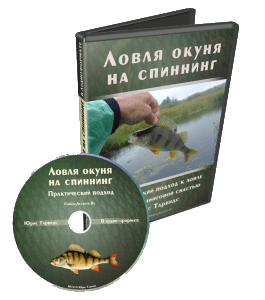 Аудиокурс Ловля окуня на спиннинг (Денис Сидоренко)