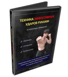 Видеокурс Техника эффективных ударов руками (Александр Литвиненко, Денис Сидоренко)