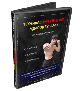 Видеокурс Техника эффективных ударов руками (Александр Литвиненко, Денис Сидоренко)