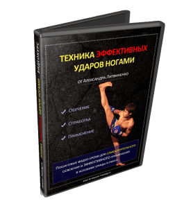 Видеокурс Техника эффективных ударов ногами (Александр Литвиненко, Денис Сидоренко)