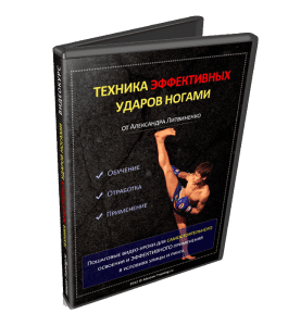 Видеокурс Техника эффективных ударов ногами (Александр Литвиненко, Денис Сидоренко)