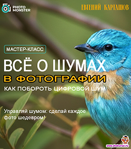 Мастер-класс Шумы в цифровой фотографии. (Евгений Карташов, Фото-Монстр)