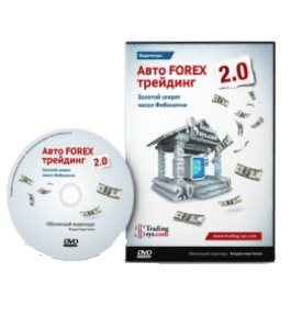 Видеокурс Авто FOREX Forex 2.0. Золотой секрет чисел Фибоначчи (Владислав Гилка)