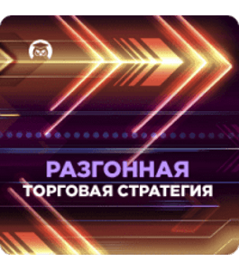 Видеокурс Разгонная торговая стратегия (Михаил Левченко, Издательство Info-DVD)