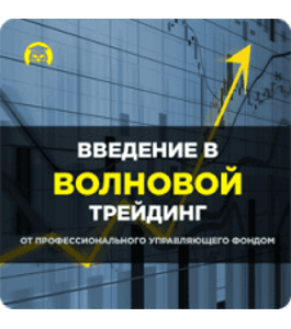 Видеокурс Введение в волновой трейдинг (Валерий Теплинский, Издательство Info-DVD)