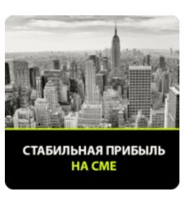 Бесплатный видеокурс Стабильная прибыль на СМЕ (Любовь Зуева, Издательство Info-DVD)