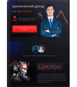 Тренинг Циклический доход на автомате (Владимир Чамин, Издательство Info-dvd)