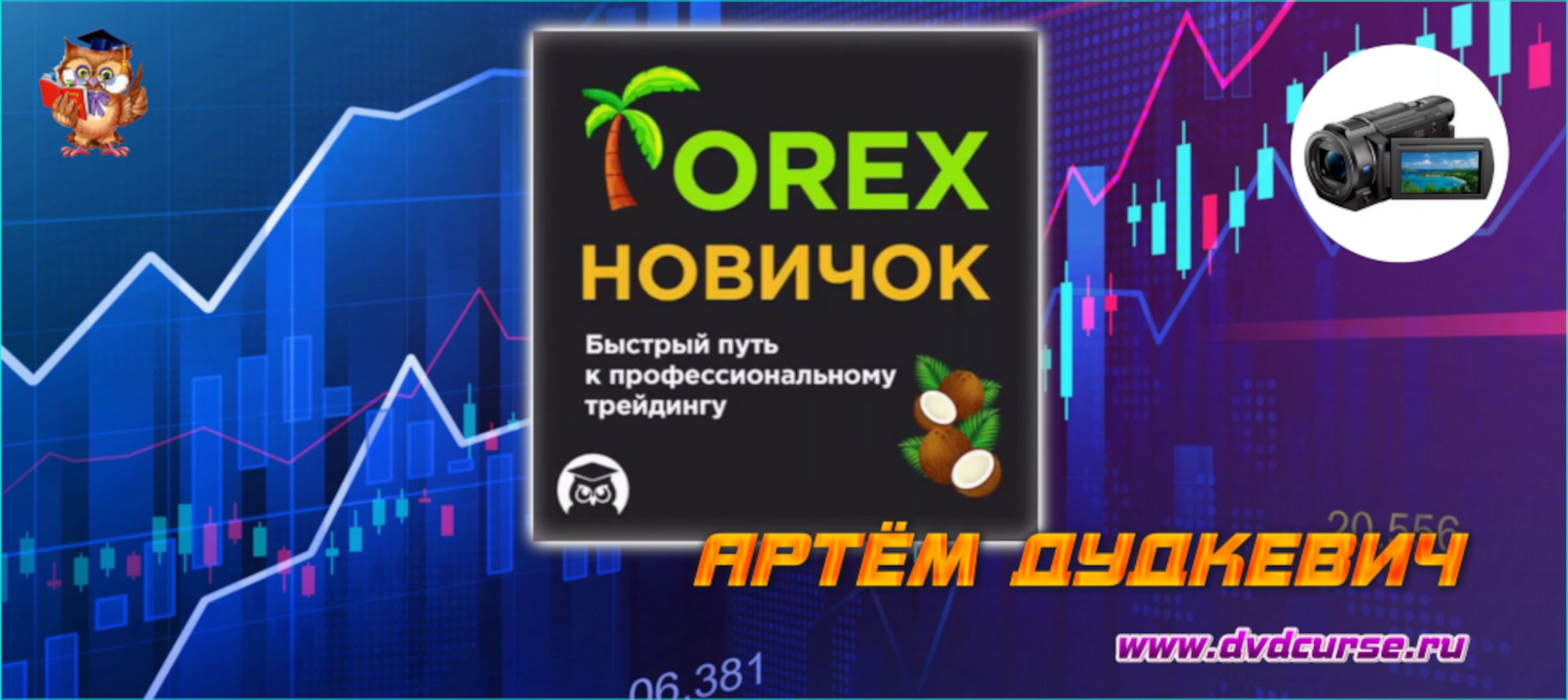Мини-курс Forex для новичков. (Артём Дудкевич - Издательство Info-DVD)