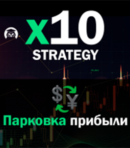 Онлайн - курс X10 Strategy. Выгодная парковка прибыли (Артём Дудкевич, Издательство Info-DVD)