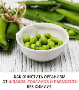 Бесплатный вебинар Безопасное очищение организма отшлаков, токсинов и паразитов (Лилия Стародубцева, Школа здорового питания)