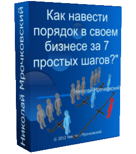 Бесплатный видеокурс Как навести порядок в своем бизнесе за 7 простых шагов (Николай Мрочковский, Андрей Меркулов)