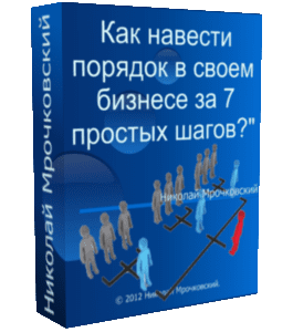 Бесплатный видеокурс Как навести порядок в своем бизнесе за 7 простых шагов (Николай Мрочковский, Андрей Меркулов)