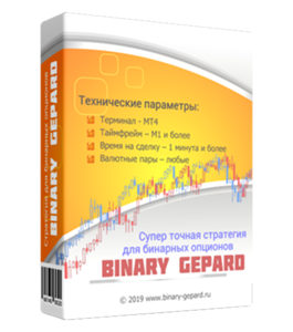Видеокурс Супер точная торговая стратегия для бинарных опционов Binary Gepard (Александр Новиков)