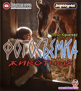 Видеоурок Съемка с животными (Елена Карнеева, Школа фотографии Елены Карнеевой)