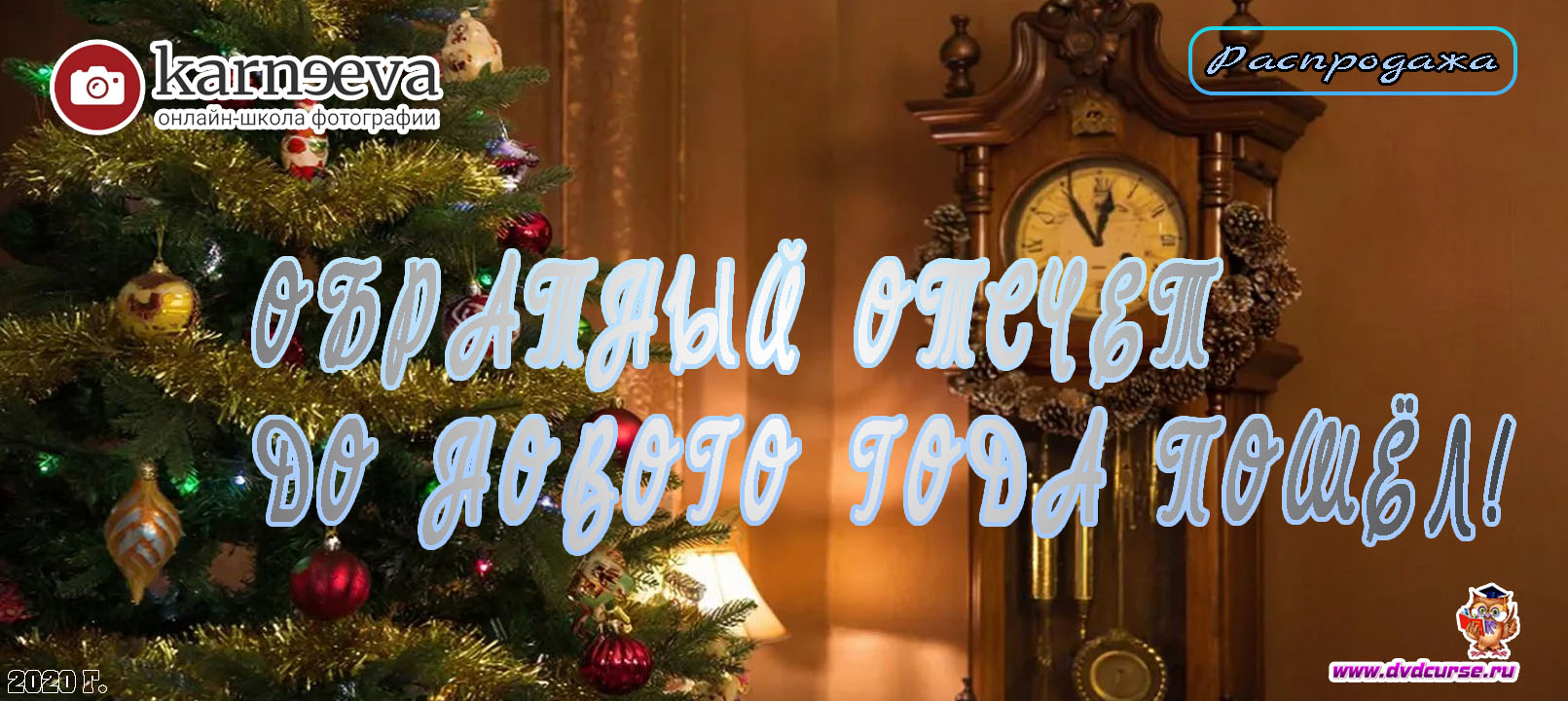 Распродажа Обратный отсчет до Нового 2021 года пошёл (Елена Карнеева, Онлайн школа фотографии)