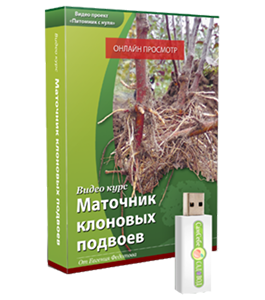 Видеокурс Маточник клоновых подвоев (Евгений Федотов, Сам себе садовод)