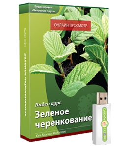 Видеокурс Зеленое черенкование (укоренение зеленых черенков) (Евгений Федотов, Роман Врублевски, Сам себе садовод)