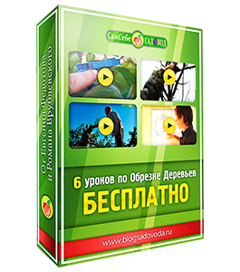 Бесплатный видеокурс Обрезка плодовых деревьев (Евгений Федотов, Роман Врублевски, Сам себе садовод)