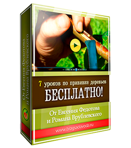 Бесплатный видеокурс Прививка плодовых деревьев (Евгений Федотов, Роман Врублевски, Сам себе садовод)