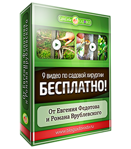 Бесплатный видеокурс Садовая Хирургия (Евгений Федотов, Роман Врублевски, Сам себе садовод)