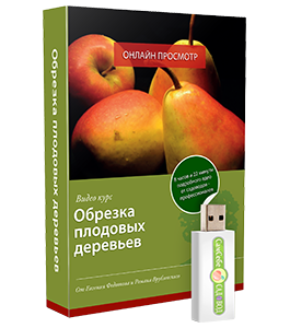 Видеокурс Обрезка плодовых деревьев (Евгений Федотов, Роман Врублевски, Сам себе садовод)