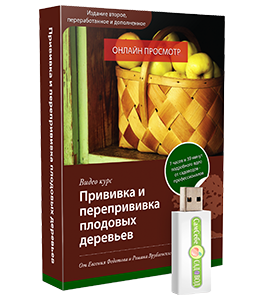 Видеокурс Прививка и перепрививка плодовых деревьев (Евгений Федотов, Роман Врублевски, Сам себе садовод)