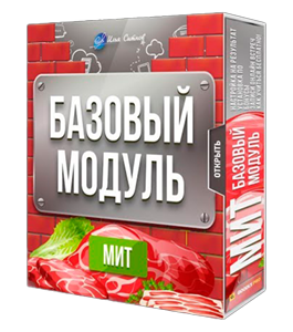 Видеокурс Базовый Модуль годовой программы МИТ (Илья Ситнов, Александр Слободенюк)
