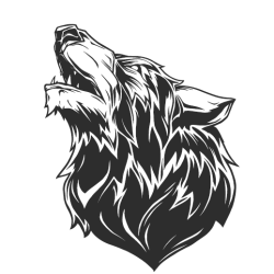 Владимир Волков