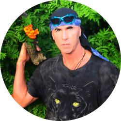 Владимир Голтис