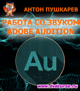 Курс Работа со звуком в Adobe Audition (Антон Пушкарев, Издательство Info-dvd)